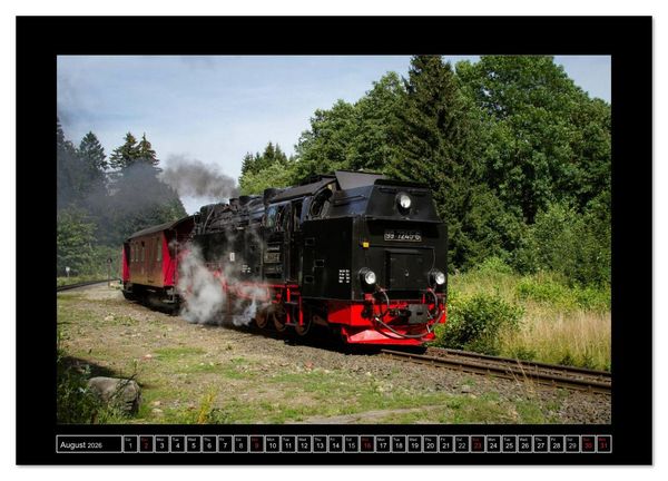 Produktbild: Steam Experience (Wall Calendar 2026 DIN A4 landscape), CALVENDO 12 Month Wall Calendar