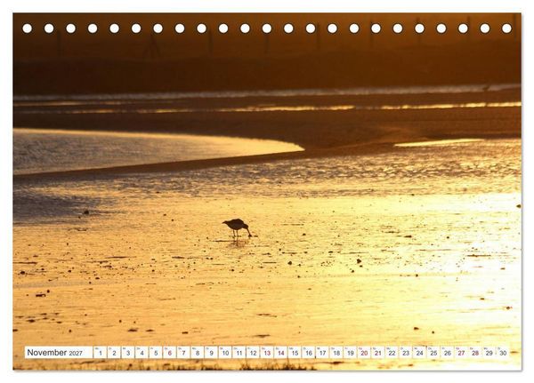 Produktbild: Seel&auml;ndisches Flandern (Tischkalender 2027 DIN A5 quer), CALVENDO Monatskalender
