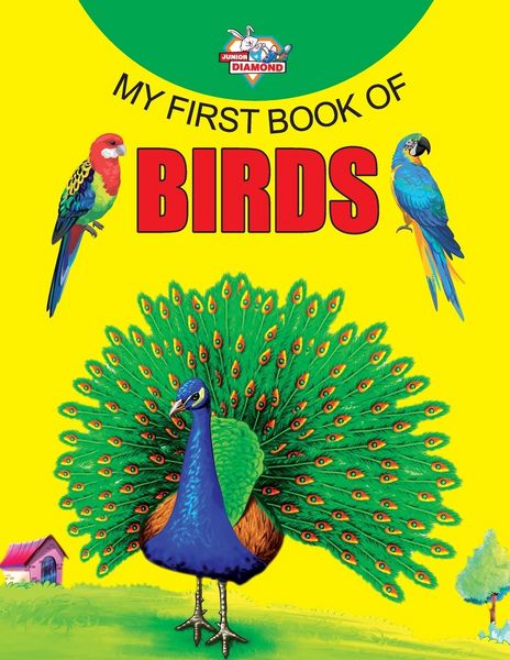 Produktbild: My First Book of Birds