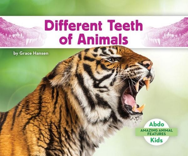 Produktbild: Different Teeth of Animals
