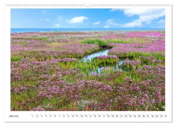 Produktbild: Buntes und bl&uuml;hendes Borkum (Wandkalender 2026 DIN A2 quer), CALVENDO Monatskalender