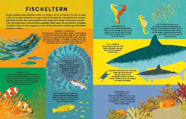 Produktbild: Fische, Fische &uuml;berall