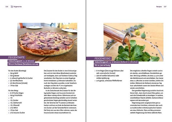 Produktbild: Feigen aus dem eigenen Garten