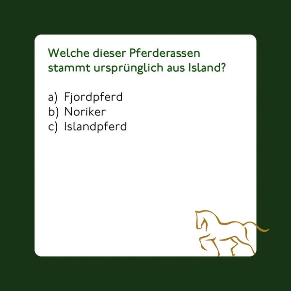 Produktbild: Pferde und Reiten - Das Quiz
