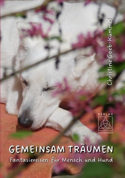 Produktbild: Gemeinsam tr&auml;umen