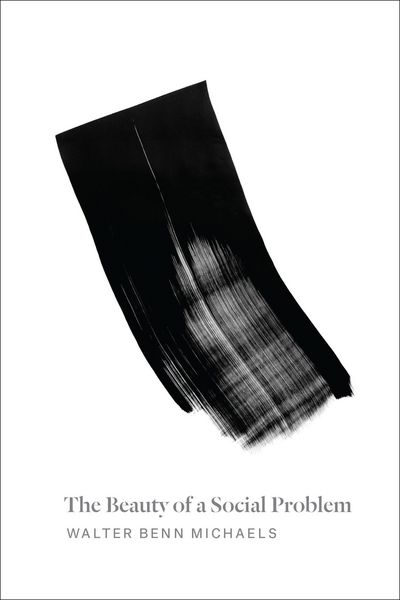Produktbild: The Beauty of a Social Problem
