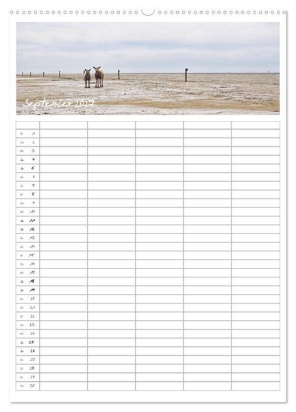 Produktbild: Nordfriesland - Familienplaner (Wandkalender 2027 DIN A2 hoch), CALVENDO Monatskalender