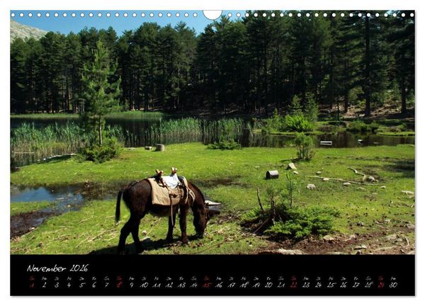 Produktbild: Esel - liebenswerte Langohren (Wandkalender 2026 DIN A3 quer), CALVENDO Monatskalender