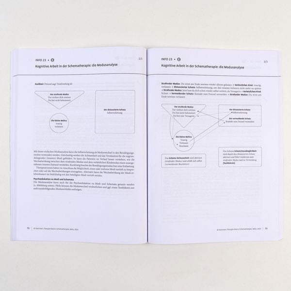 Produktbild: Therapie-Basics Schematherapie
