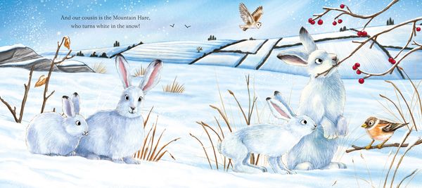 Produktbild: I am Hattie the Hare