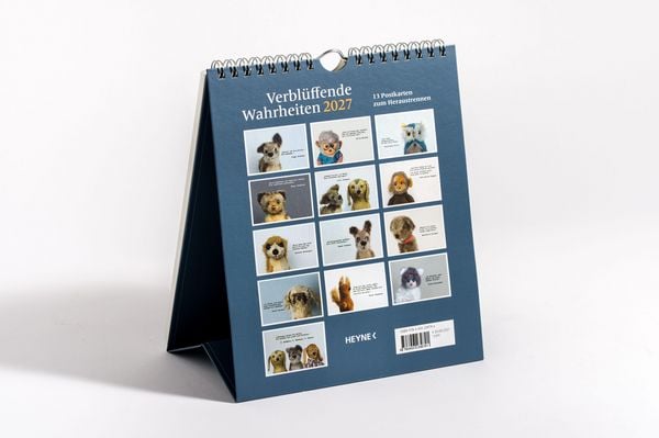 Produktbild: Verbl&uuml;ffende Wahrheiten &ndash; Postkartenkalender 2027