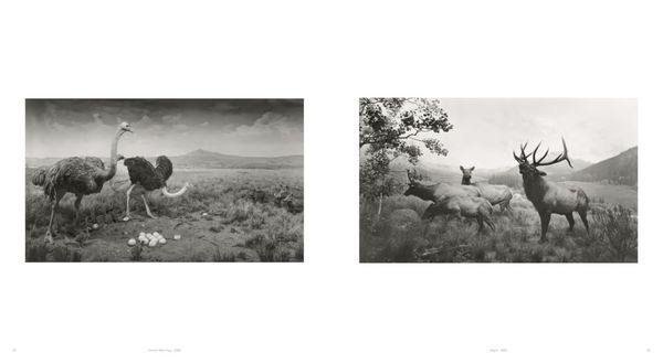 Produktbild: Hiroshi Sugimoto
