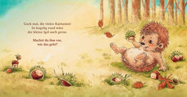 Produktbild: Schlaf sch&ouml;n, kleiner Igel