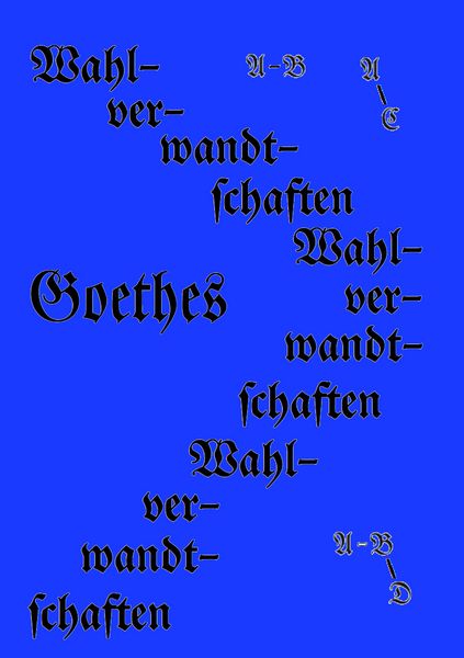 Produktbild: Die Wahlverwandtschaften
