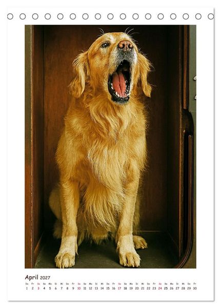 Produktbild: Wer f&auml;hrt denn da? Ein tierisches Paternoster Vergn&uuml;gen (Tischkalender 2027 DIN A5 hoch), CALVENDO Monatskalender