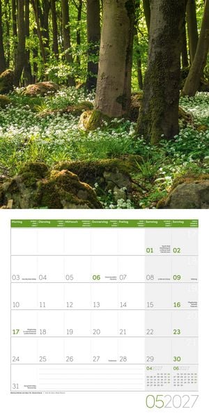 Produktbild: Zauber des Waldes Kalender 2027 - 30x30 - Art12