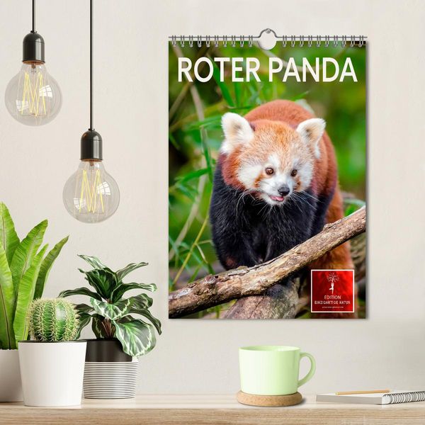 Produktbild: Roter Panda (Wandkalender 2026 DIN A4 hoch), CALVENDO Monatskalender