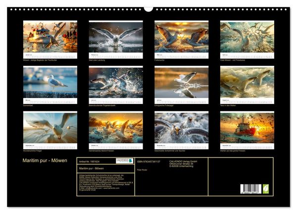 Produktbild: Maritim pur - M&ouml;wen (Wandkalender 2026 DIN A2 quer), CALVENDO Monatskalender