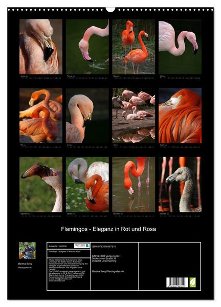 Produktbild: Flamingos - Eleganz in Rot und Rosa (Wandkalender 2026 DIN A2 hoch), CALVENDO Monatskalender