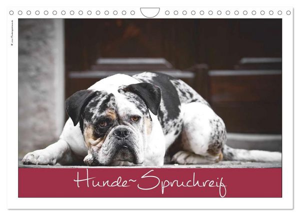 Produktbild: Hunde-Spruchreif (Wandkalender 2026 DIN A4 quer), CALVENDO Monatskalender