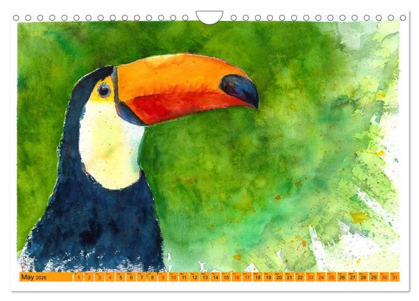 Produktbild: The Fascinating World of Birds in Watercolour (Wall Calendar 2026 DIN A4 landscape), CALVENDO 12 Month Wall Calendar