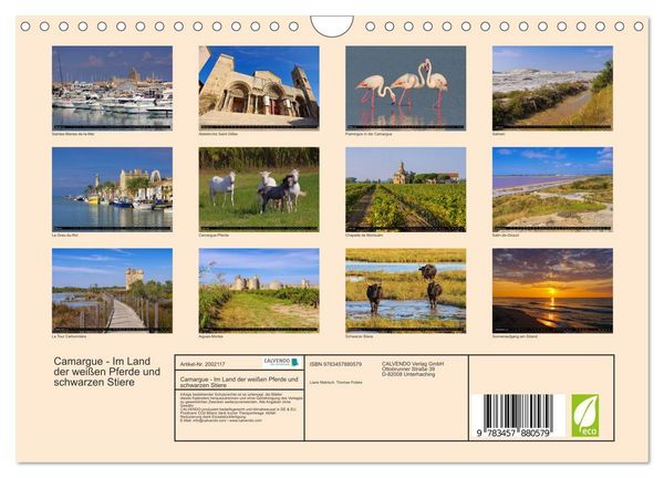 Produktbild: Camargue - Im Land der wei&szlig;en Pferde und schwarzen Stiere (Wandkalender 2026 DIN A4 quer), CALVENDO Monatskalender