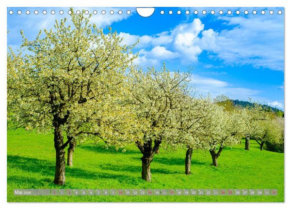Produktbild: Ein Blick auf Witzenhausen (Wandkalender 2026 DIN A4 quer), CALVENDO Monatskalender