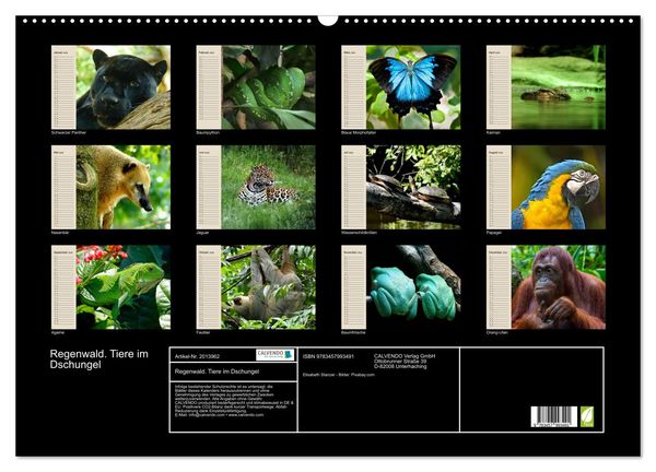 Produktbild: Regenwald. Tiere im Dschungel (Wandkalender 2026 DIN A2 quer), CALVENDO Monatskalender