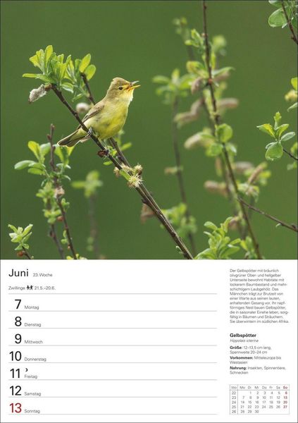 Produktbild: Heimische V&ouml;gel Wochenplaner 2027 - 53 faszinierende Fotografien
