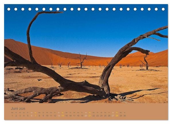 Produktbild: Afrika Impressionen. NAMIBIA - S&Uuml;DAFRIKA - BOTSWANA (Tischkalender 2026 DIN A5 quer), CALVENDO Monatskalender