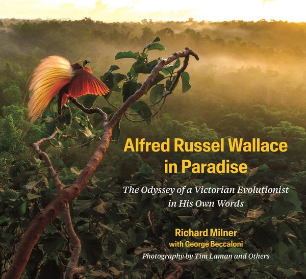 Produktbild: Alfred Russel Wallace in Paradise