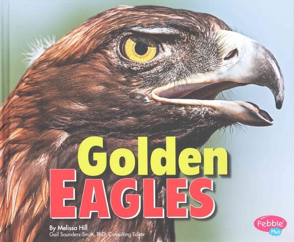 Produktbild: Golden Eagles