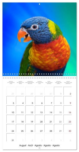 Produktbild: Wonderful Birds (Wall Calendar 2026 12 &times; 12 Inch) CALVENDO 12 Month Wall Calendar