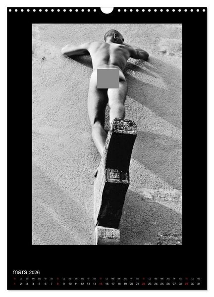 Produktbild: Au Masculin (Calendrier mural 2026 DIN A3 horizontal), CALVENDO calendrier mensuel