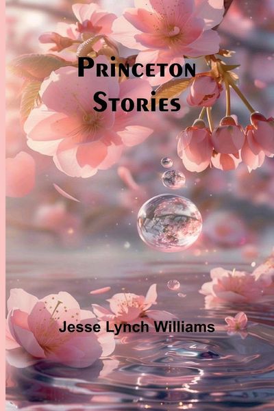 Produktbild: Princeton Stories