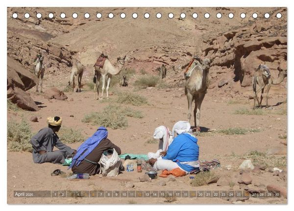 Produktbild: Impressionen Kameltrekking Sinai 2026 (Tischkalender 2026 DIN A5 quer), CALVENDO Monatskalender