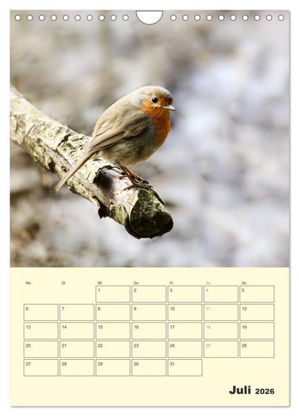 Produktbild: Vogelwelt an der Sieg (Wandkalender 2026 DIN A4 hoch), CALVENDO Monatskalender