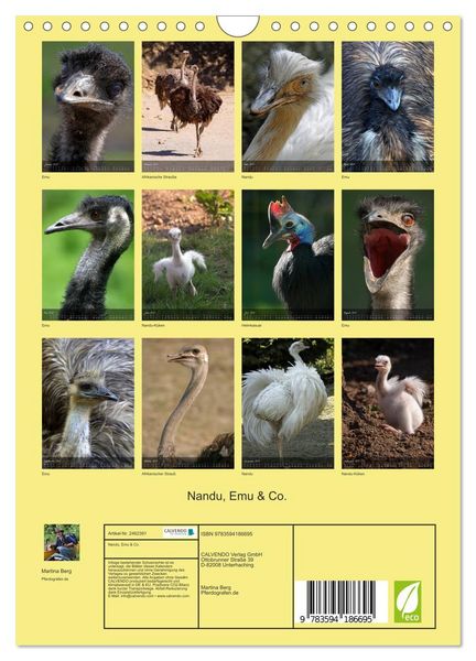 Produktbild: Nandu, Emu & Co. (Wandkalender 2027 DIN A4 hoch), CALVENDO Monatskalender