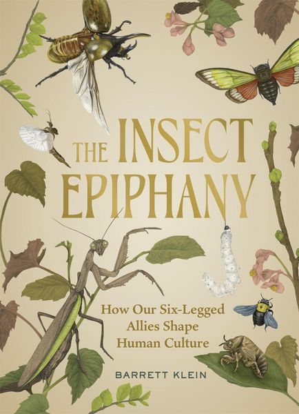 Produktbild: The Insect Epiphany