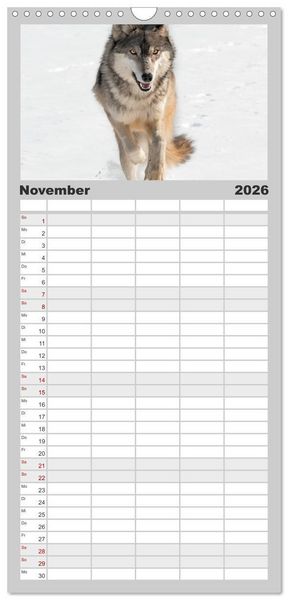 Produktbild: Familienplaner 2026 - W&ouml;lfe. Graue Eminenzen mit 5 Spalten (Wandkalender, 21 x 45 cm) CALVENDO