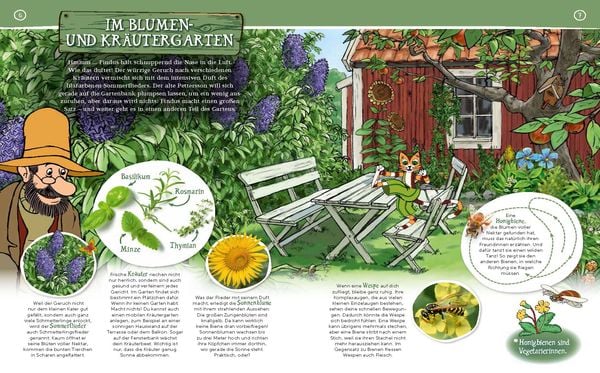 Produktbild: In der Natur mit Pettersson und Findus