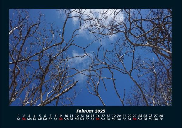 Produktbild: Bilder der Natur 2025 Fotokalender DIN A4