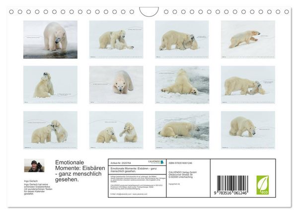 Produktbild: Emotionale Momente: Eisb&auml;ren - ganz menschlich gesehen. (Wandkalender 2026 DIN A4 quer), CALVENDO Monatskalender