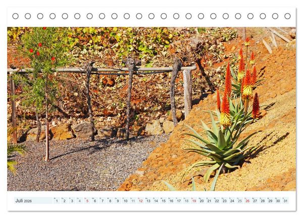Produktbild: La Palma. Wandern, Flanieren und Genie&szlig;en (Tischkalender 2026 DIN A5 quer), CALVENDO Monatskalender