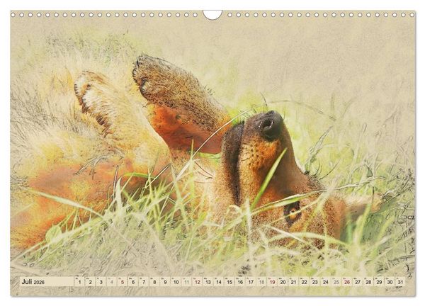 Produktbild: Altdeutsche H&uuml;tehunde 2026 (Wandkalender 2026 DIN A3 quer), CALVENDO Monatskalender