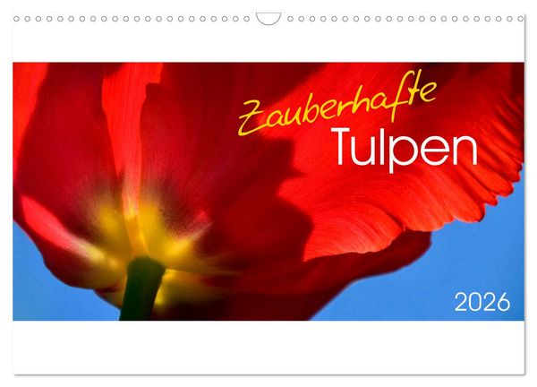 Zauberhafte Tulpen (Wandkalender 2026 DIN A3 quer), CALVENDO Monatskalender