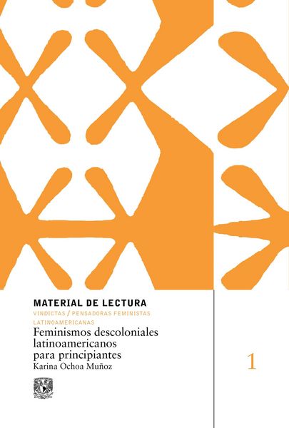 Produktbild: Feminismos descoloniales latinoamericanos para principiantes