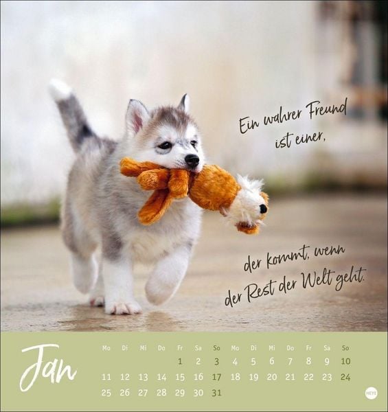 Produktbild: Ziemlich beste Freunde Postkartenkalender 2027 - F&uuml;r immer dein