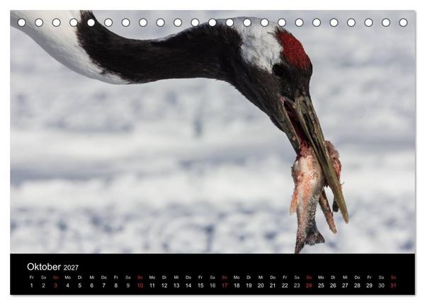 Produktbild: Mandschurenkraniche (Tischkalender 2027 DIN A5 quer), CALVENDO Monatskalender
