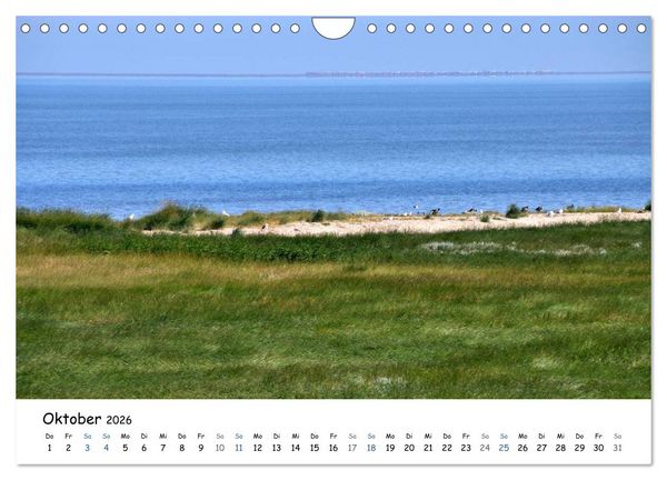Produktbild: F&ouml;hr und Halligwelt 2026 (Wandkalender 2026 DIN A4 quer), CALVENDO Monatskalender